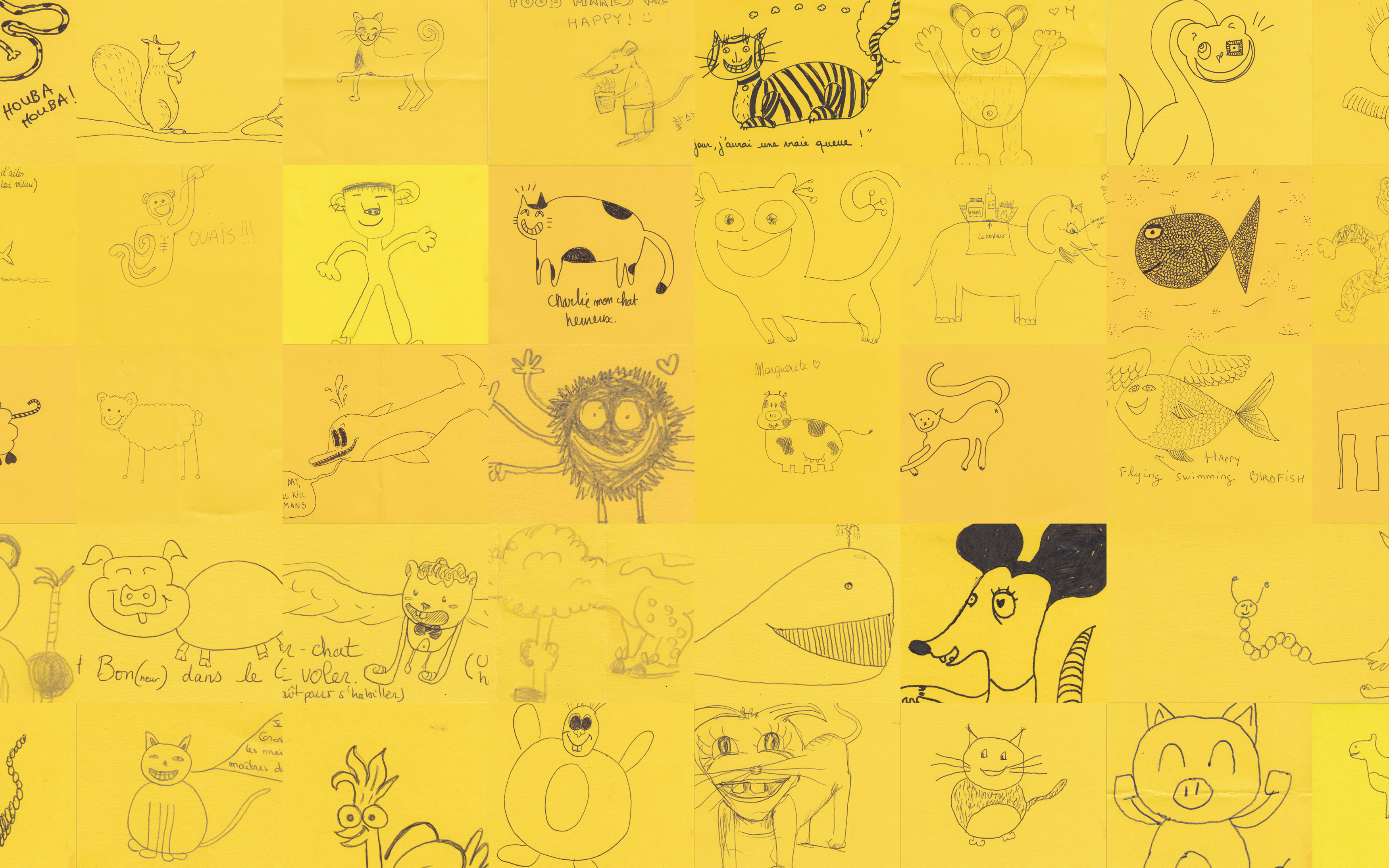 RICCARDO PIROTTO HAPPY ANIMALS