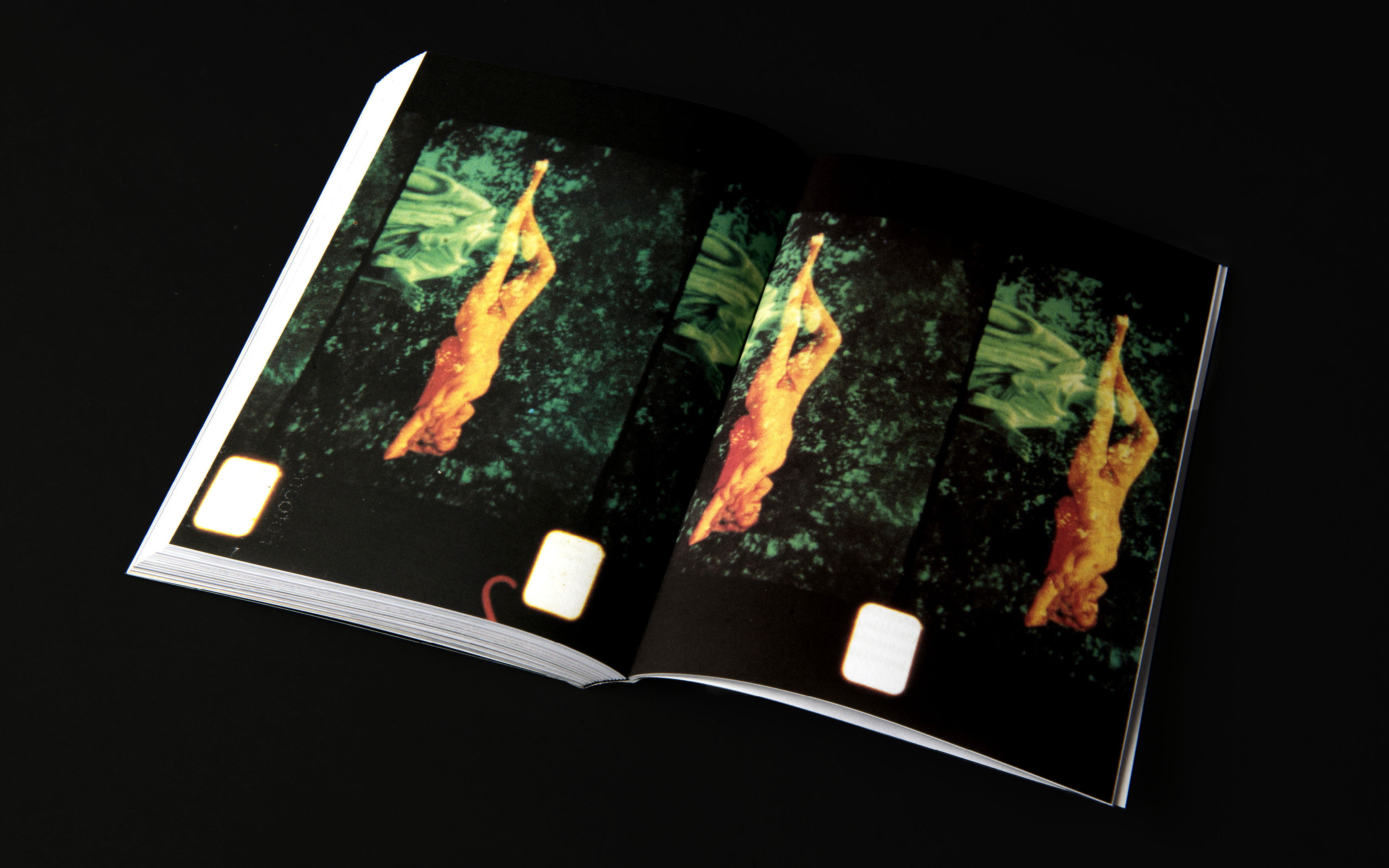 RICCARDO PIROTTO LUGINBUHL BOOK