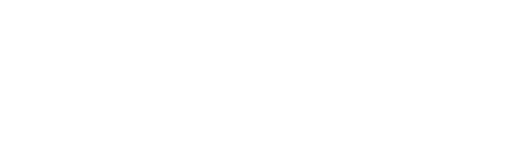 RICCARDO PIROTTO Portfolio