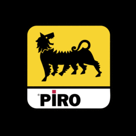 RICCARDO PIROTTO